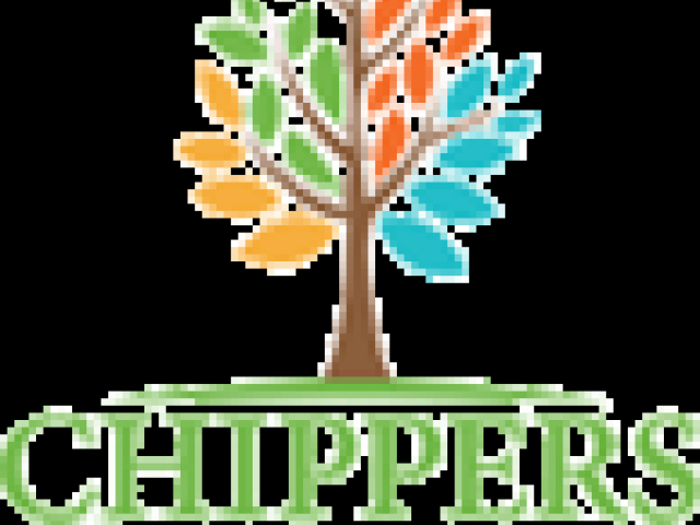 Tree Trimming vs Tree Pruning – What’s the Difference?