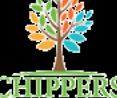 Tree Trimming vs Tree Pruning – What’s the Difference?