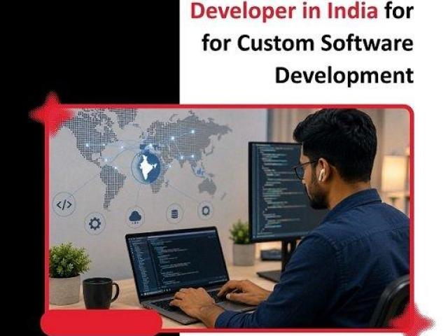 Hire Remote Developer in India for for Custom Software Development