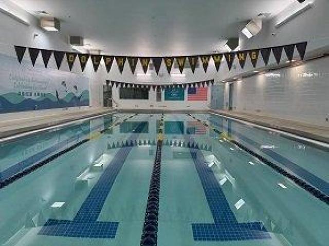 Dolphin Swimming Flagship Pool