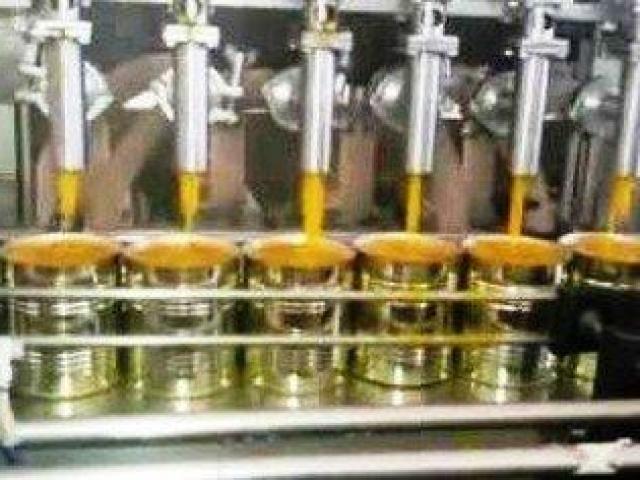 Premium Mango Processing Plant Equipment for Efficient Production