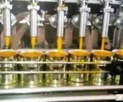 Premium Mango Processing Plant Equipment for Efficient Production