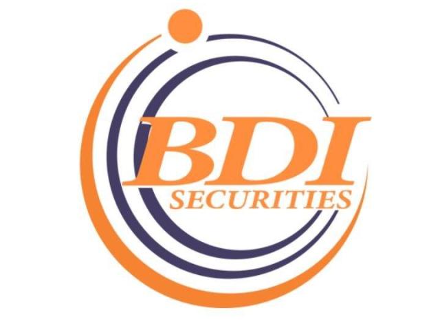 Secure & Reliable Coin Collection in UK - BDI Securities UK Limited