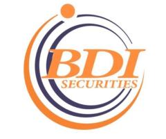 Secure & Reliable Coin Collection in UK - BDI Securities UK Limited