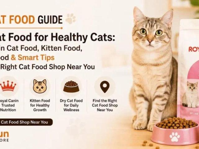 Cat Food Shop in Burari Delhi Online | Varun Pet Store