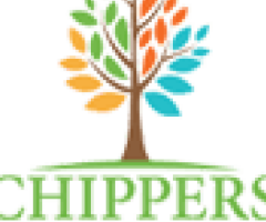 Large Tree Removal Process: What Homeowners Should Expect