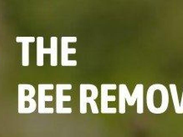 The Bee Removers