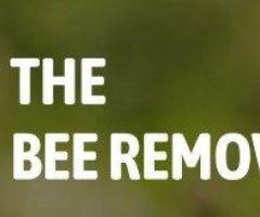 The Bee Removers