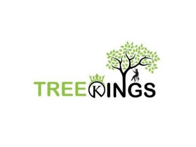 Tree Kings