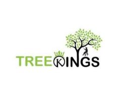 Tree Kings