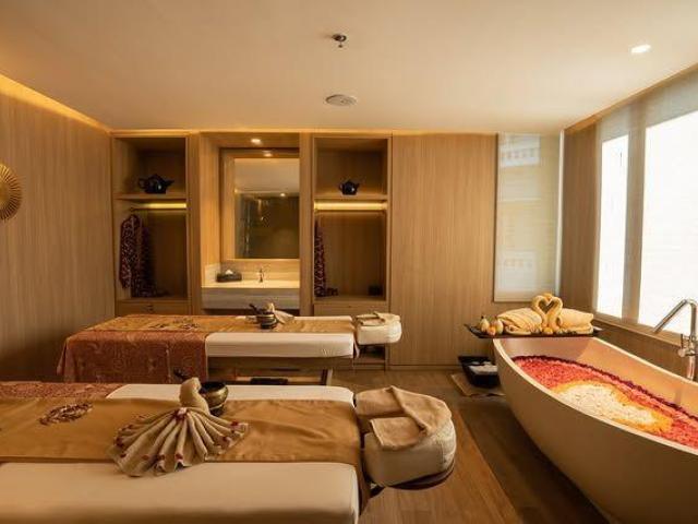 Professional VIP Spa