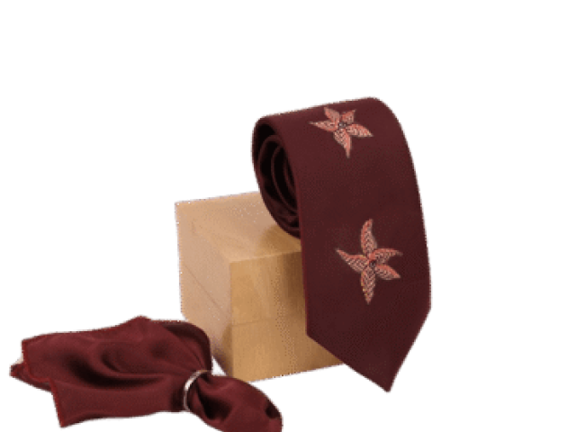 Hand-Painted Gond Ties Inspired by Indian Art and Craftsmanship