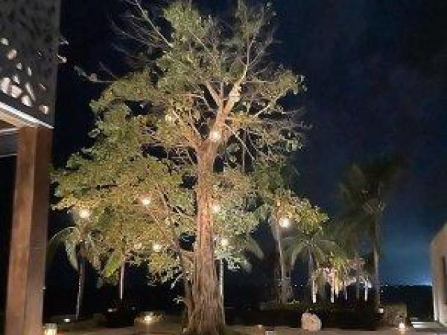 outdoor lighting installation Miami