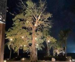 outdoor lighting installation Miami