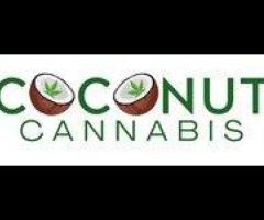 Marijuana Store Walker – Premium Cannabis Products at Coconut Cannabis