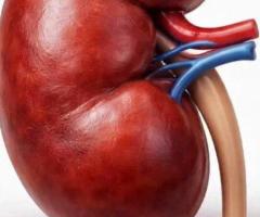 Best Kidney Hospital in Hanamkonda