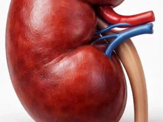 Best Nephrologist in Hanamkonda