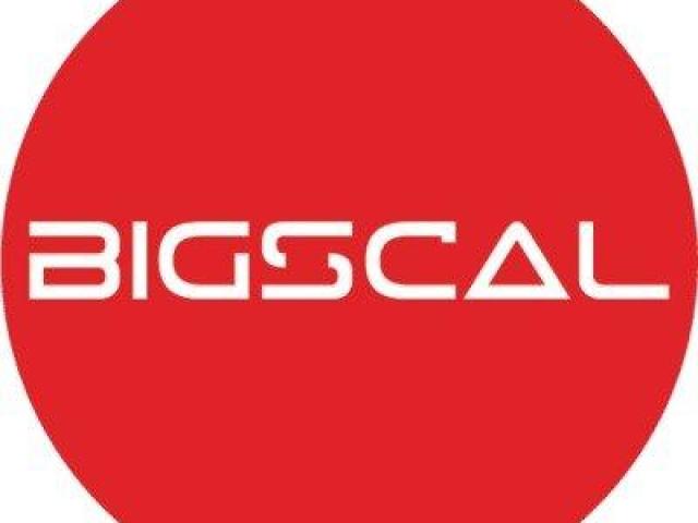 Bigscal The Ultimate Software Development Company
