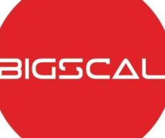 Bigscal The Ultimate Software Development Company