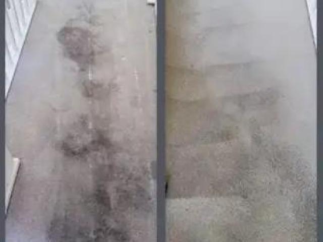 Bring Your Carpets Back to Life with Dry Carpet Clean in Adelaide