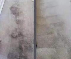 Bring Your Carpets Back to Life with Dry Carpet Clean in Adelaide