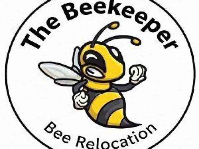 The Beekeeper, Bee and Wasp Removal