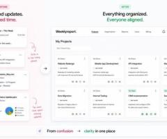 weekly report automation tool