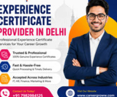 Delhi Based Experience Certificate Provider for IT Company
