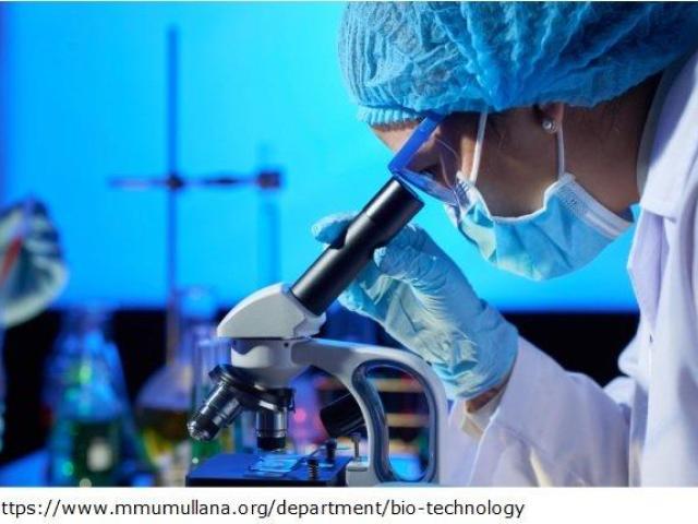 Bachelor in biotechnology