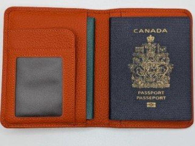 Buy Leather Travel Wallet and Passport Holder for Smart Travel Organization