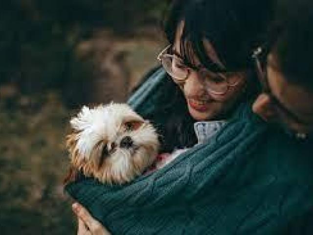 Peaceful & Dignified In-Home Pet Euthanasia | San Antonio Area