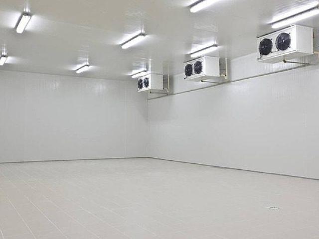 Cold Room Insulated Panels for Temperature Stability - Mount