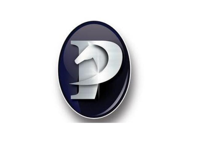 Precision Equine Solutions