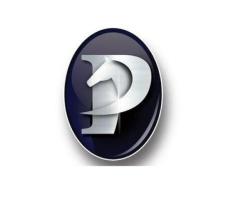 Precision Equine Solutions