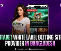 Jita Betting Website Provider in Bangladesh