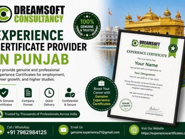 Punjab Experience Documentation for Skilled Professionals