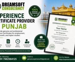 Punjab Experience Documentation for Skilled Professionals