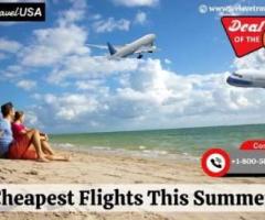 Celebrate Your Summer Vacation | Create Unforgettable Family Memories