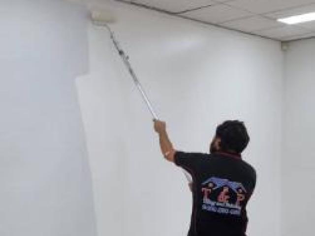 Is Domestic Painting Suitable for Renovations and Upgrades?