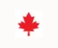 Window Cleaning Services in Kelowna BC | Honor Home Maintenance