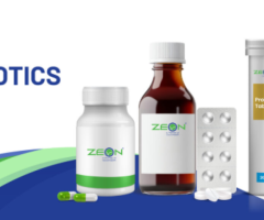 Probiotic Supplement Manufacturer for Gut Health Solutions