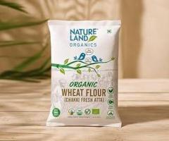 Buy Organic Wheat Maida – 100% Pure & Natural | Natureland Organics