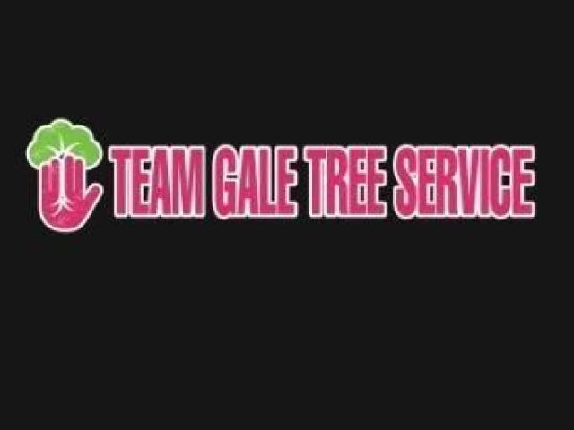 Team Gale Tree Service