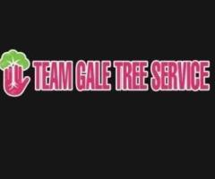 Team Gale Tree Service