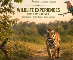 Top Wildlife Tour Operator in India for Tiger Safaris, Birding & Nature Tours