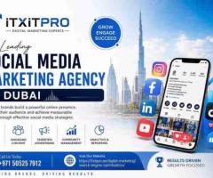 Ready to Grow Online? Discover Smarter SEO Solutions in Dubai