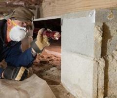 Building and Pest Inspection Canberra | Trusted Property Inspection Experts