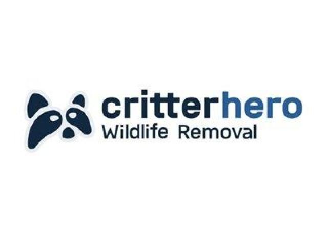 Critter Hero Wildlife Removal St. Catharines
