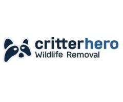 Critter Hero Wildlife Removal St. Catharines