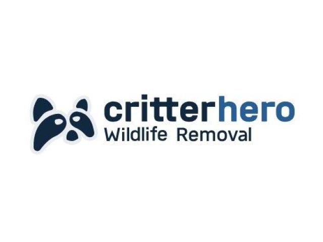 Critter Hero Wildlife Removal Niagara Falls